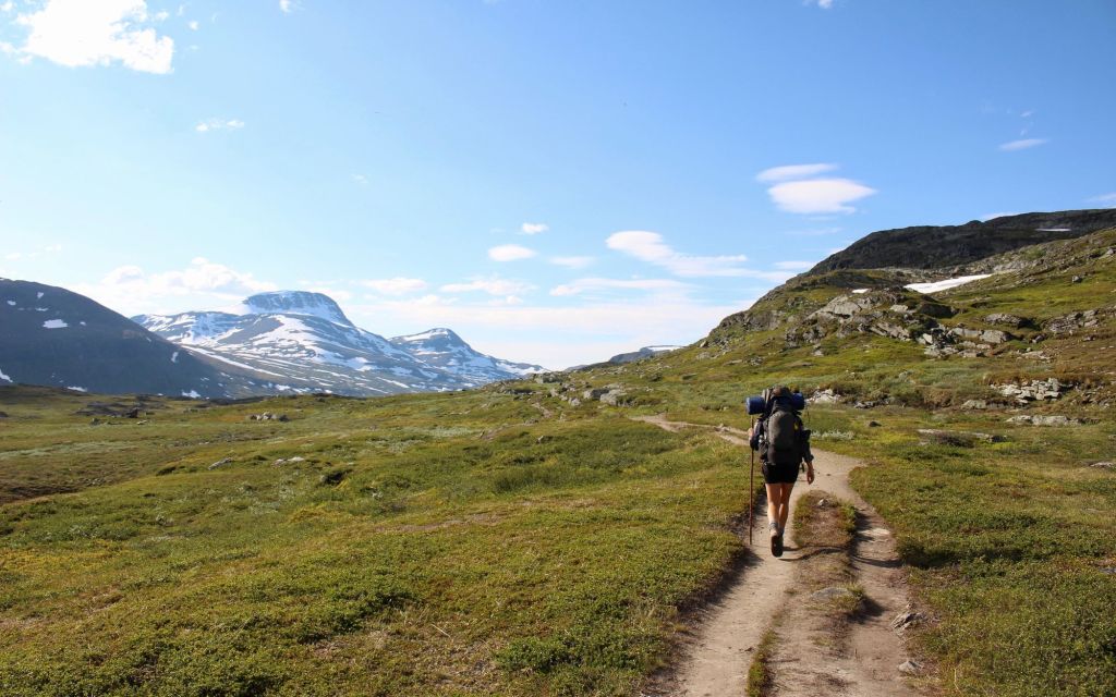 Fjällvandra i Sverige