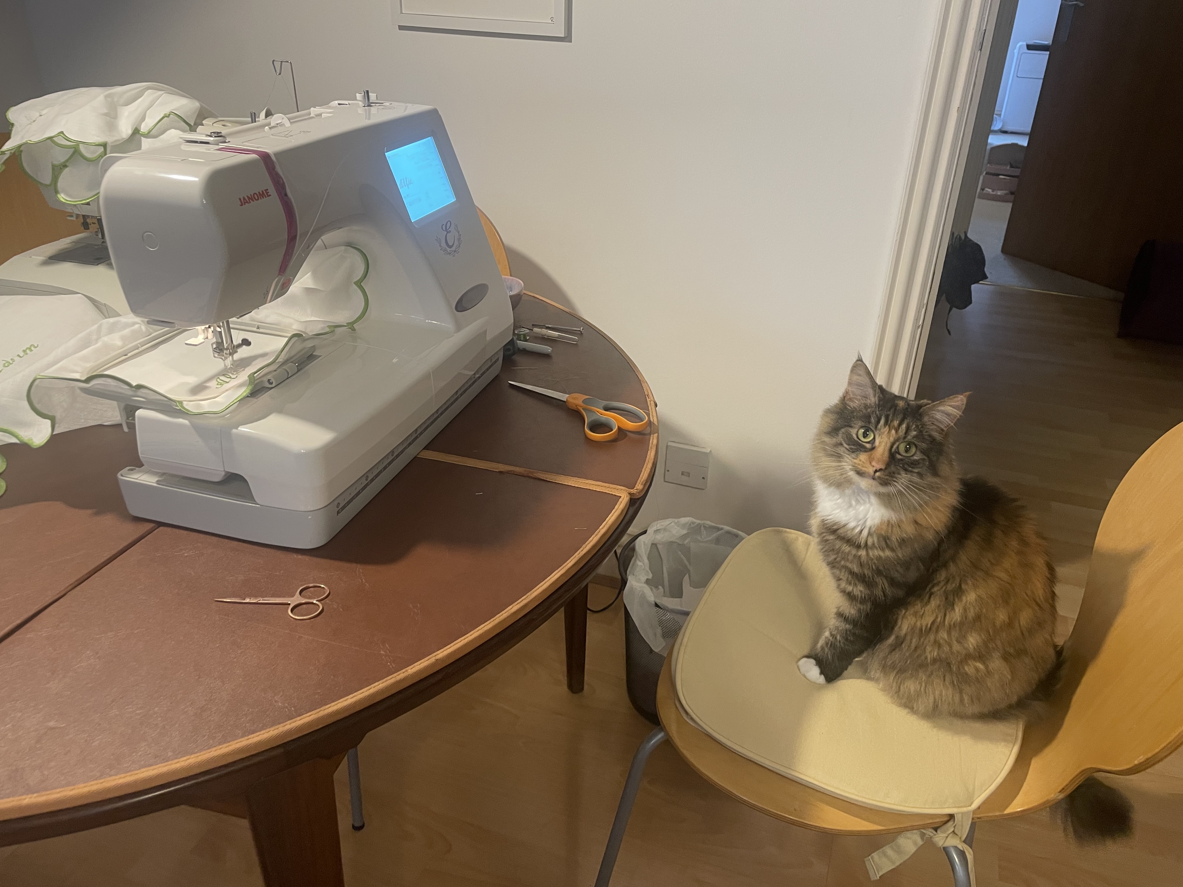 Katten Marge sitter bredvid en hyrd broderimaskin som används till bröllops-DIY.