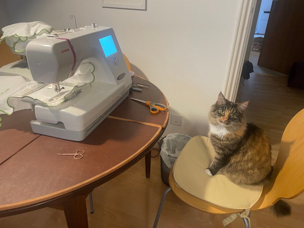 Katten Marge sitter bredvid en hyrd broderimaskin som används till bröllops-DIY.